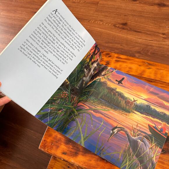 The Web At Dragonfly Pond Paperback Book - Picture 5 of 7